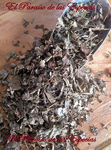 Hamamelis Hojas 500 grs - Avellano de Bruja Planta Natural 100 %