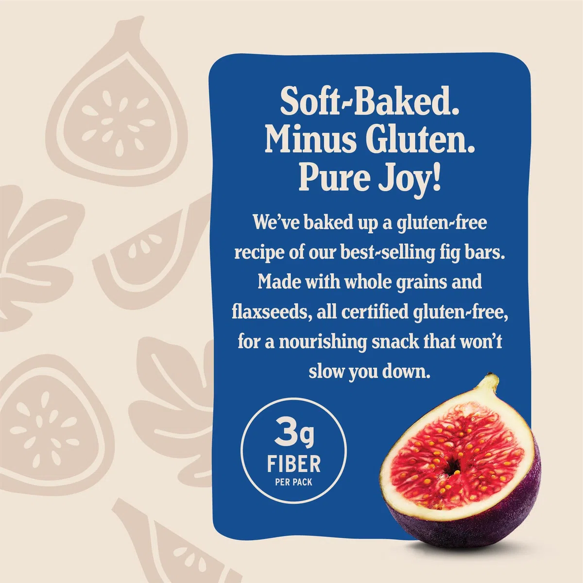 Nature's Bakery Fig Bar Blueberry - 6 CT