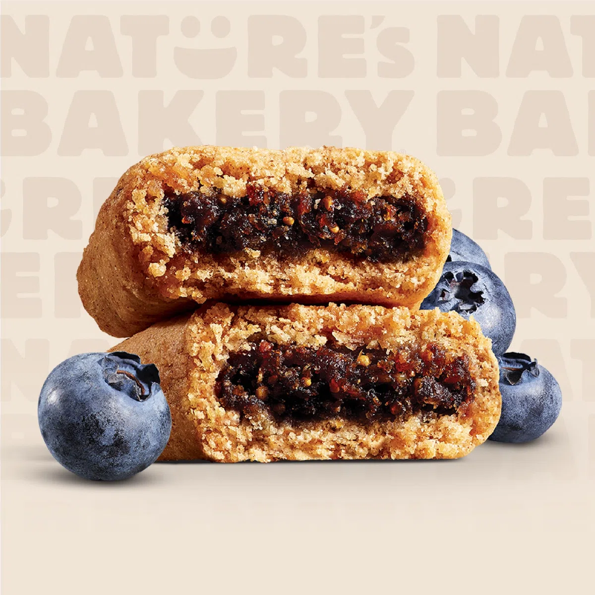 Nature's Bakery Fig Bar Blueberry - 6 CT