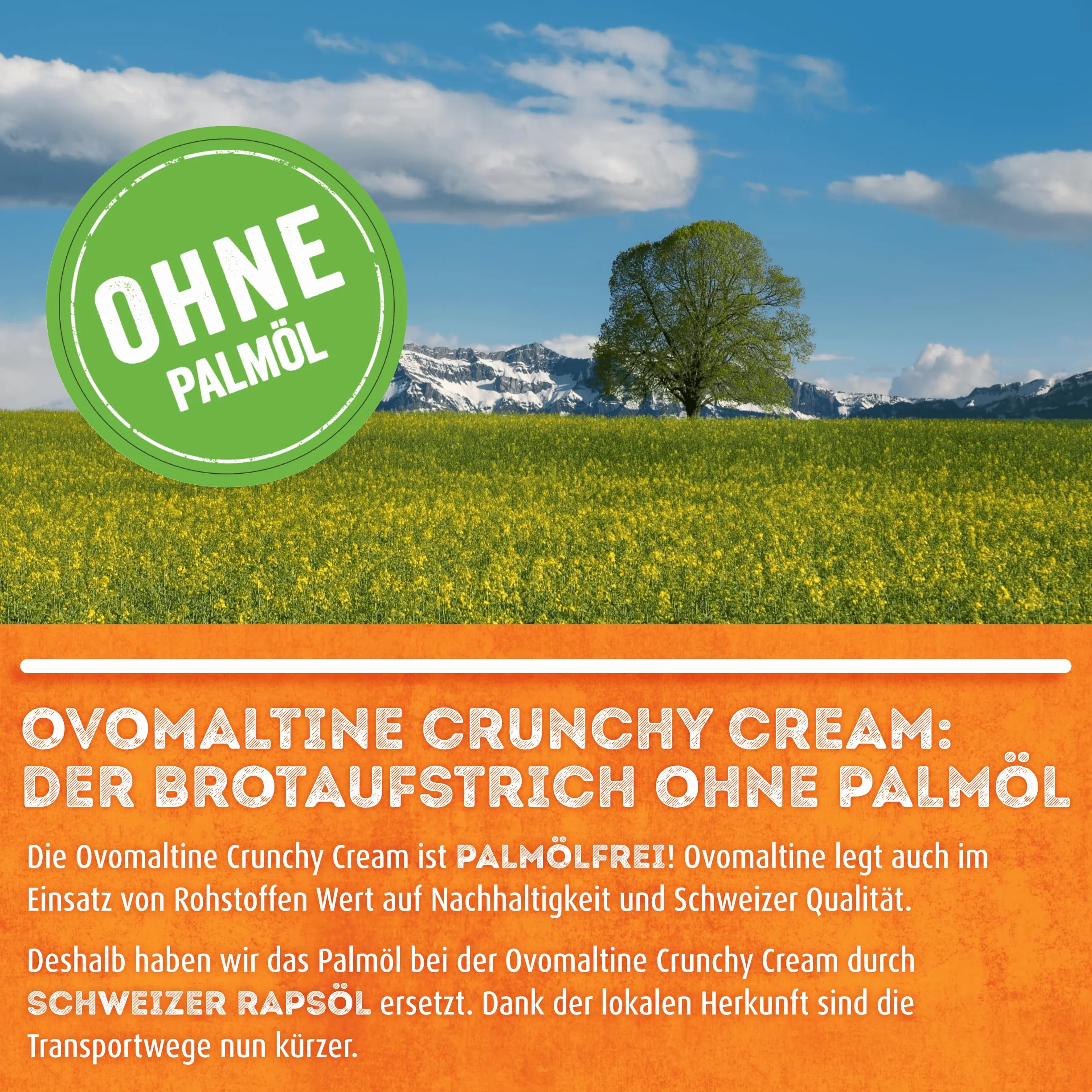Ovomaltine Crunchy Cream - Crema de chocolate crujiente única sin aceite de palma, dulce para untar con crujientes trozos ovomaltinos, fabricado en Suiza (1 x 380 g)