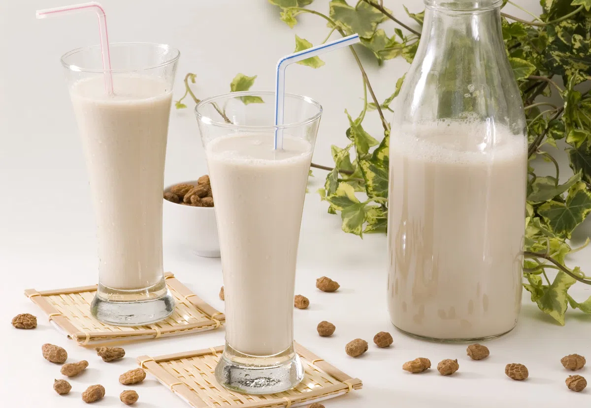 Terra i Xufa HORCHATA CHUFA CONCENTRADA ECO