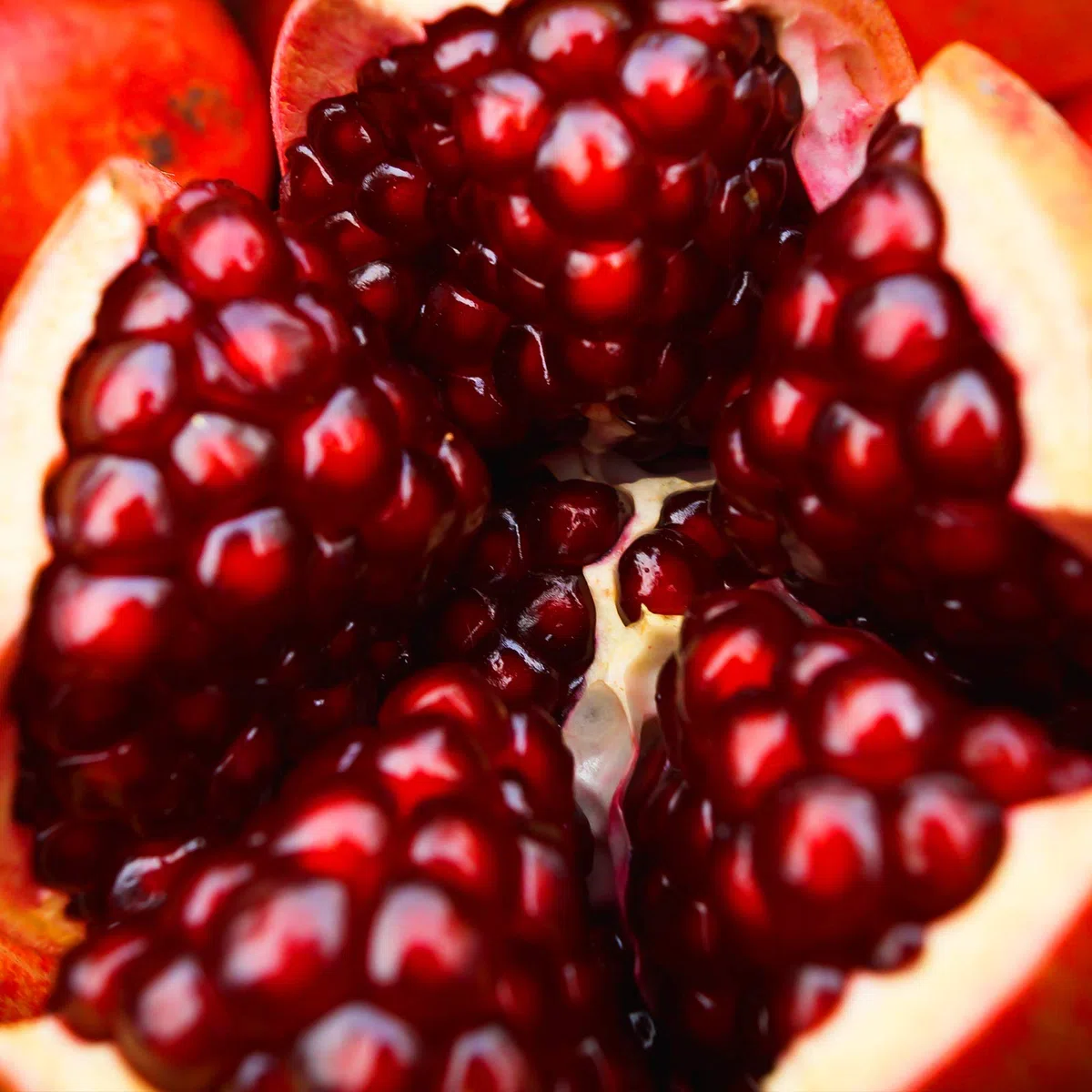2 paquetes - FruttaMax - Concentrado de jarabe de frutas | Menos azúcar | con un 60% de contenido de fruta | adecuado para máquina de refrescos (2 x 500 ml) (2 x Granada)