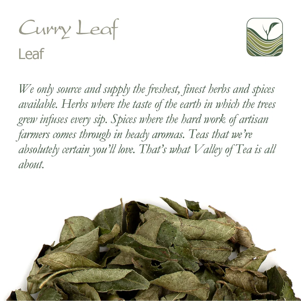 Curry Hojas Frescas Deshidratado - Curri Hoja