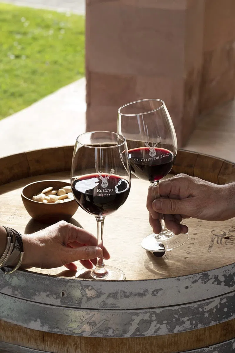 El Coto de Imaz Reserva Magnum | Vino Tinto DOC Rioja | 1500 ml | Variedad Tempranillo | Potente y Equilibrado | Perfecto como Acompañante para Tus Platos de Caza, Carnes Rojas o de Ternera