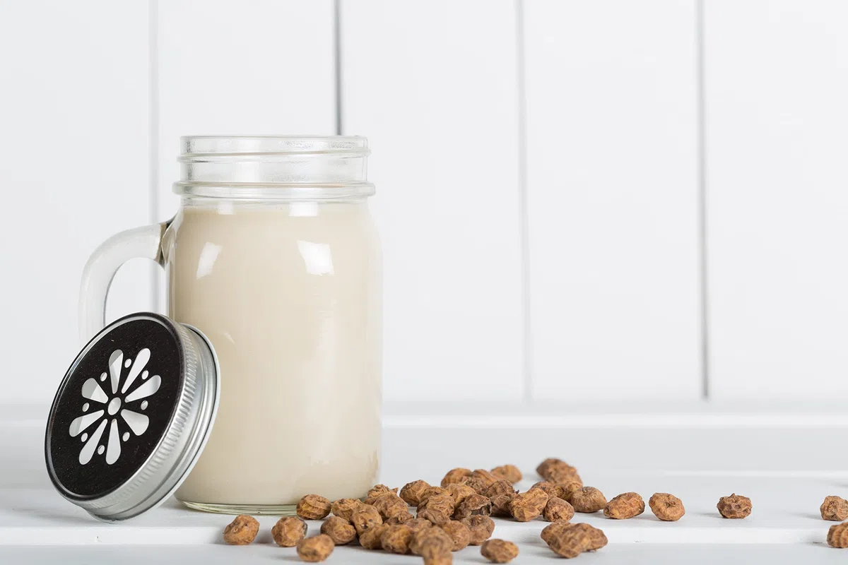 Terra i Xufa HORCHATA CHUFA CONCENTRADA ECO