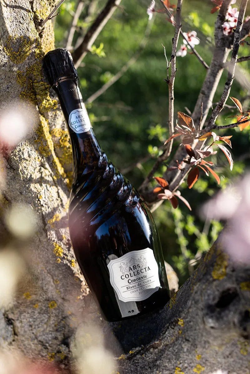 Ars Collecta Blanc de Noirs - Cava Reserva - 75cl