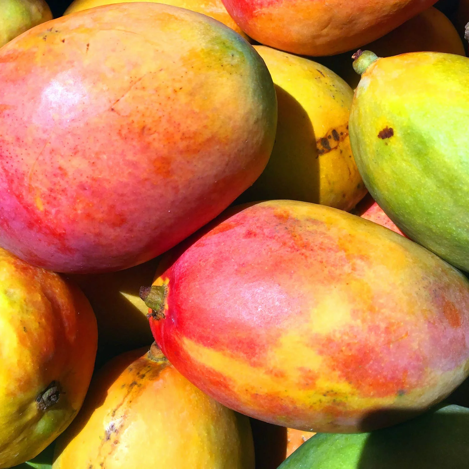 2 paquetes - FruttaMax - Concentrado de jarabe de frutas | Menos azúcar | con un 60% de contenido de fruta | adecuado para máquina de refrescos (2 x 500 ml) (2 x Mango)