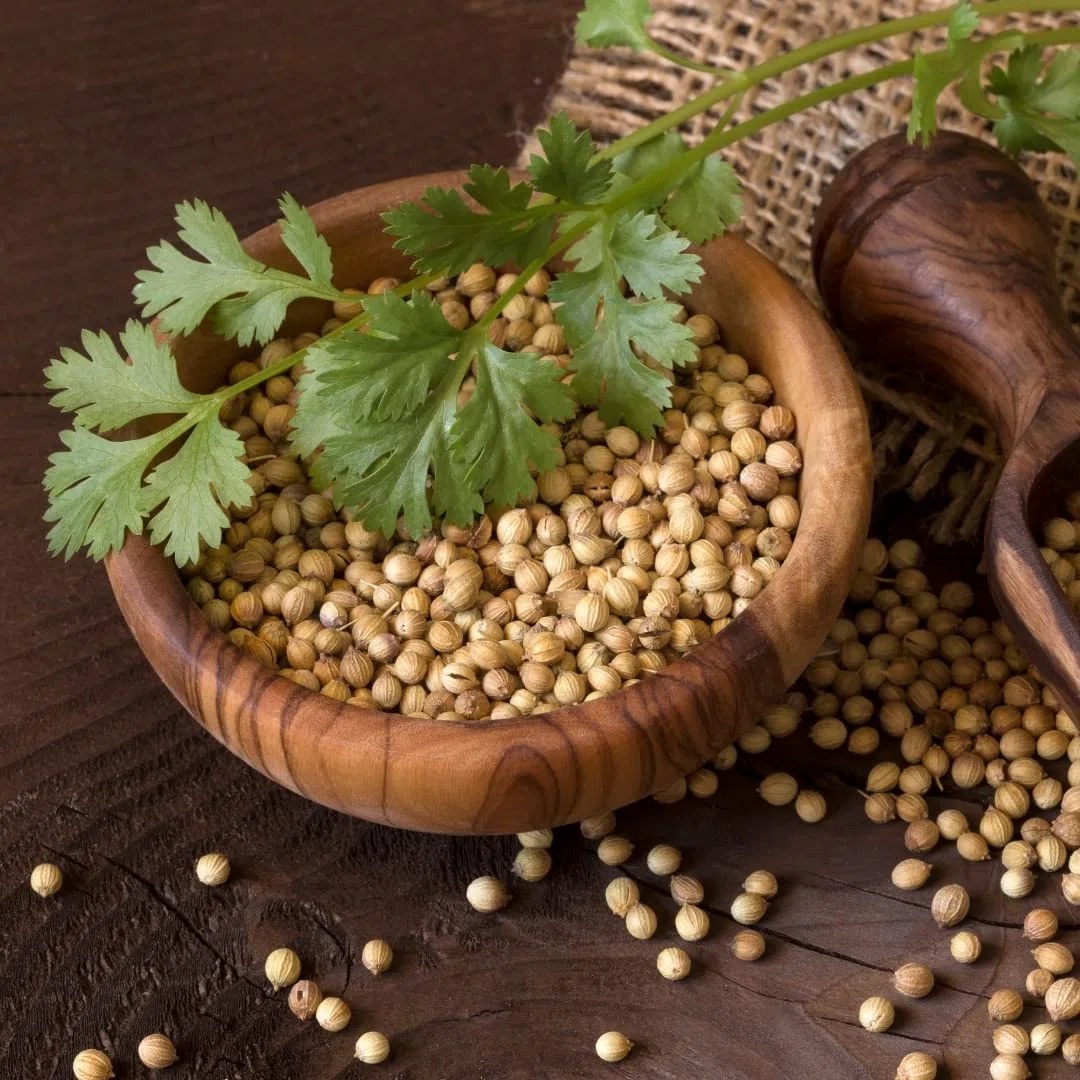 Alpi Nature Cilantro Hojas Orgánicas 100g, Hojas de Cilantro Orgánico Secas y Cortadas para Cocinar