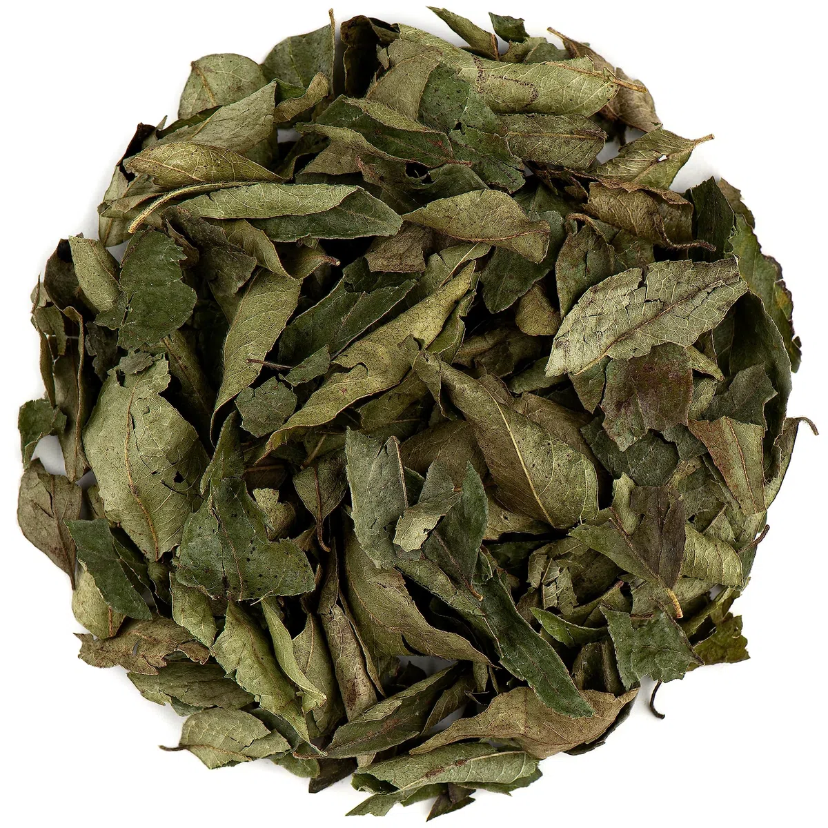 Curry Hojas Frescas Deshidratado - Curri Hoja
